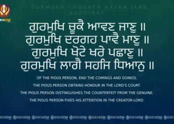 Gurmukh Chookeh Aavan Jaan