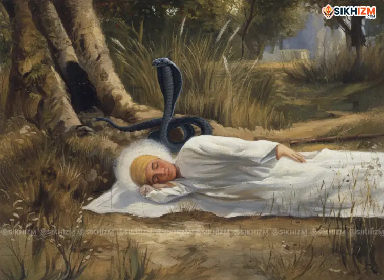 Shadow of the Cobra’s Hood on Guru Nanak Dev