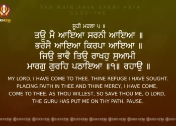 Tau Main Aaya Sarni Aaya